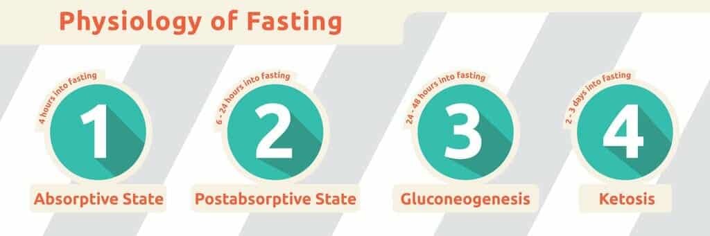Physiology-of-Fasting
