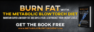 Metabolic-Blowtorch-Diet-FREE-Book