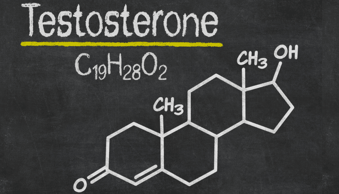 Testosterone: What Is It and How is It Made?