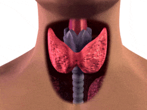 Thyroid-Resistance-the-New-Diabetes
