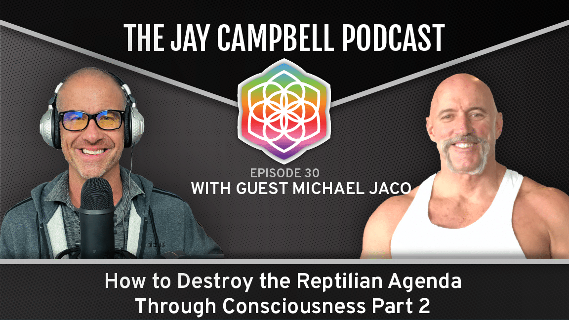 How to Destroy the Reptilian Agenda Through Consciousness w/Michael Jaco (Part 2)