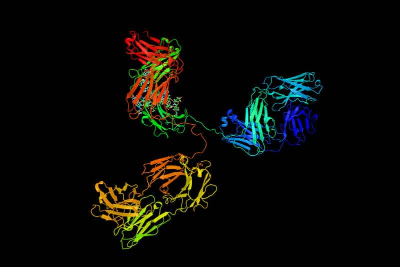 Selank Peptide