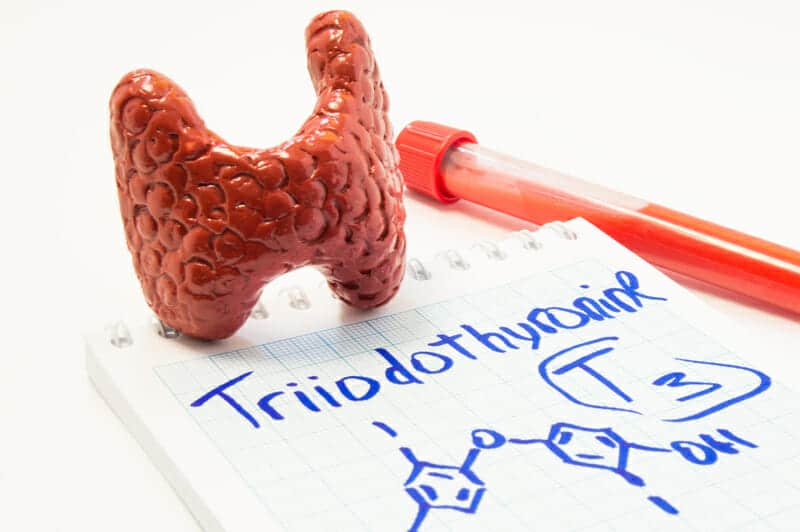 Desiccated Thyroid