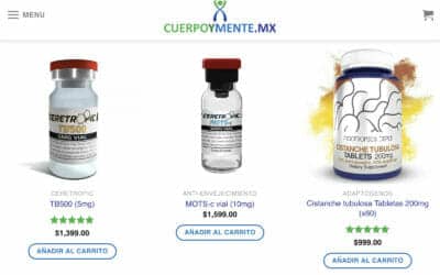 Peptides And Nootropics In Mexico: An Interview With Cuerpoymente Founder Maxime Jean-Noel