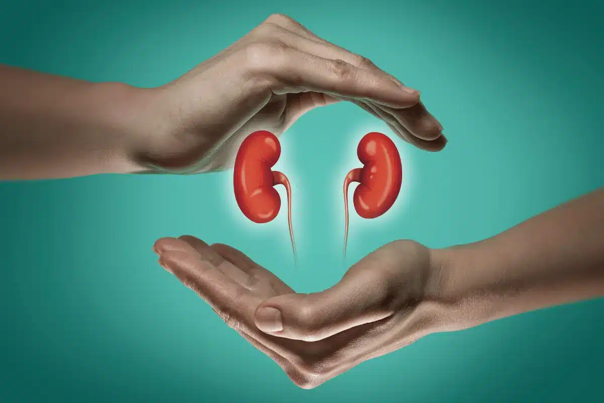 Two hands creating a heart shape with stylized kidneys in the center against a teal background.