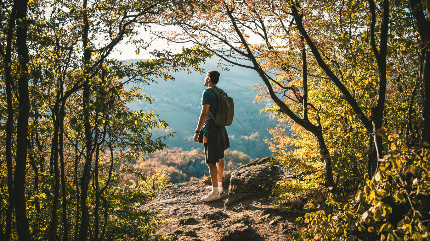 An image of a man in the forest