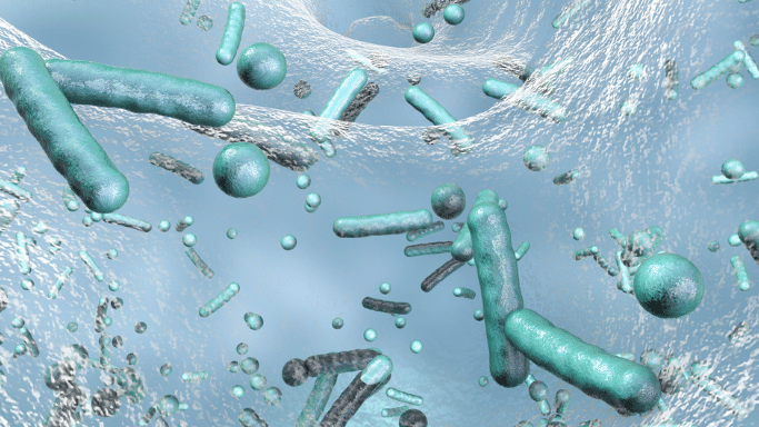 A microscopic-style 3D render of various bacteria and microbes.