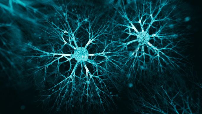 High-contrast digital illustration. Glowing cyan nodes connect a complex web of branching, root-like structures against a deep black background.