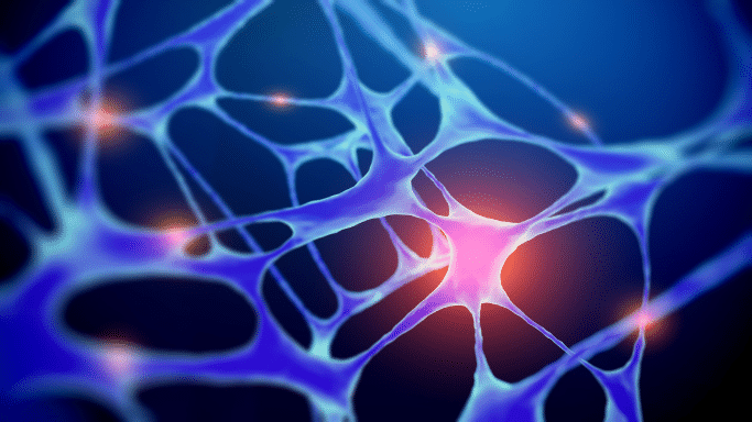 A digital illustration of a neural network or biological cellular structure. It features glowing, interconnected blue and purple fibers with bright orange light nodes at the intersections against a dark blue background.