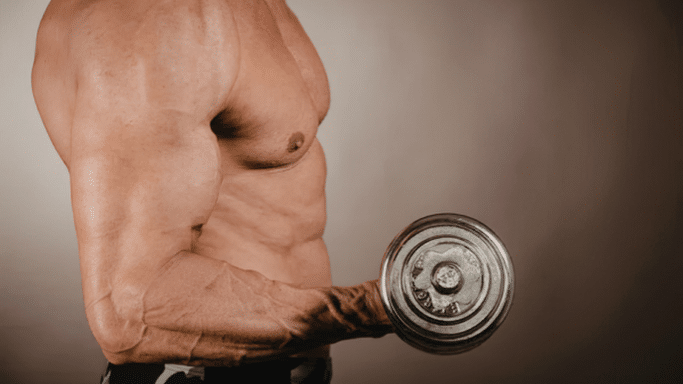 Side profile of a muscular arm performing a bicep curl with a silver dumbbell, showing high vascularity.
