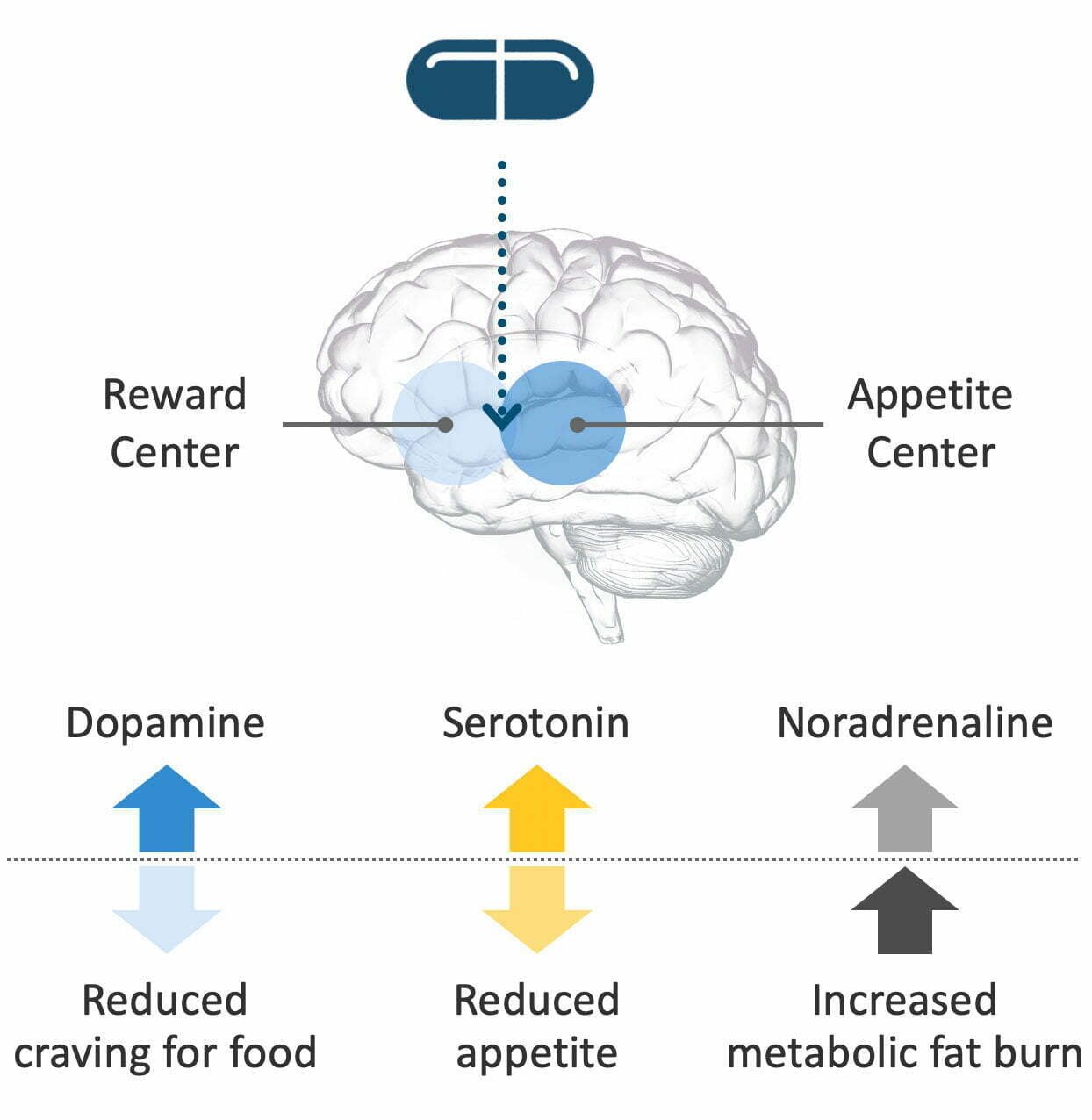 Tesomet Infographics