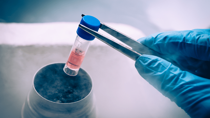 A close-up shot of a gloved hand using metal tweezers to hold a small plastic cryovial with a blue cap. The tube contains a small amount of reddish liquid and is being held over a container emitting a dense, freezing vapor cloud from liquid nitrogen.