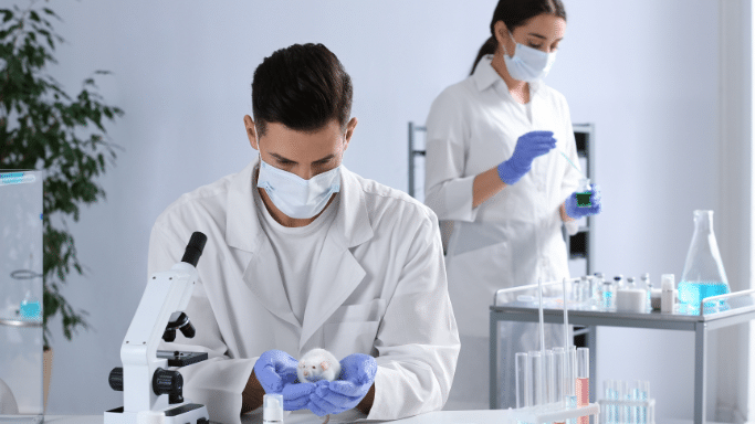 A wide shot of a man and a woman, both wearing white lab coats and masks, in a well-lit laboratory. The man, in the foreground, is wearing blue gloves and gently cradling a small white laboratory rat. The woman stands in the background at a table with test tubes.