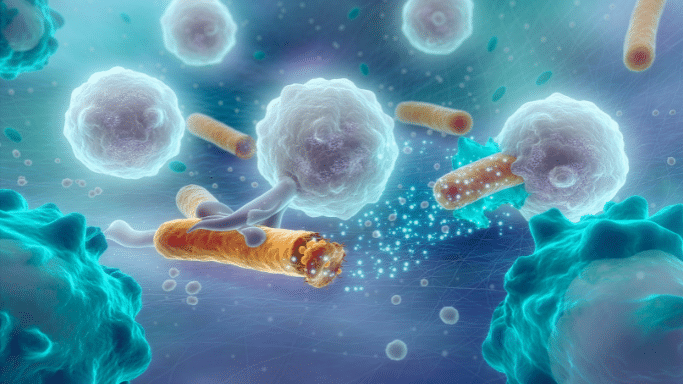 A 3D medical illustration showing white blood cells attacking rod-shaped bacteria in a microscopic environment. Blue and purple light highlights the biological battle.