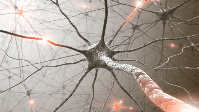 A detailed 3D scientific rendering of a neuron (nerve cell). The central cell body has multiple branching dendrites, and a thick axon extends toward the foreground. Glowing orange light pulses along the pathways, representing electrical nerve impulses.