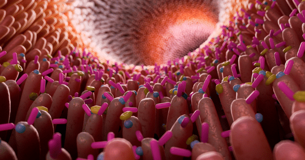 A 3D close-up view looking down the inside of an intestinal wall tunnel lined with pink, finger-like villi. The surfaces are densely covered with microscopic, brightly colored pill-shaped bacteria and round microbes in shades of pink, yellow, and blue.