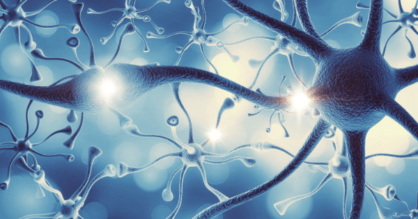 A microscopic, stylized 3D illustration of nerve cells and neurons in a blue tint, featuring bright white flares at the synaptic connections.