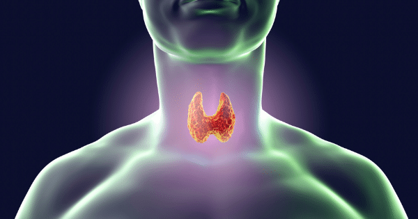 Anatomical illustration highlighting a glowing, red thyroid gland on a human torso.
