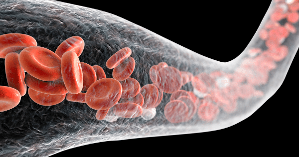 A 3D illustration showing red blood cells flowing through a transparent blood vessel.
