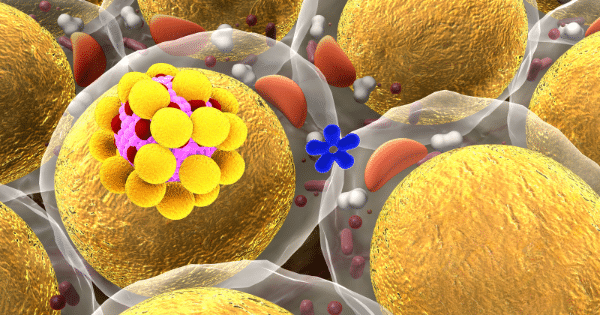 Microscopic 3D rendering of golden fat cells and surrounding lipid molecular structures.