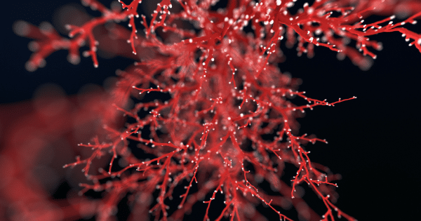 A close-up 3D rendering of a branching red network with tiny white nodes against a dark background, representing a vascular or nervous system pathway.