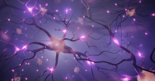 A stylized, close-up digital rendering of biological neurons and synapses pulsing with bright pink and purple electrical signals across neural pathways.