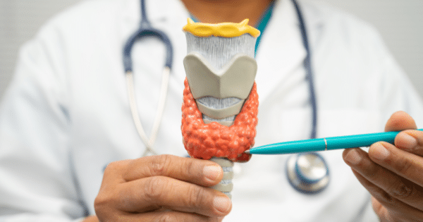 A medical professional in a white coat holding a physical model of the thyroid gland and trachea, pointing to the gland with a pen.