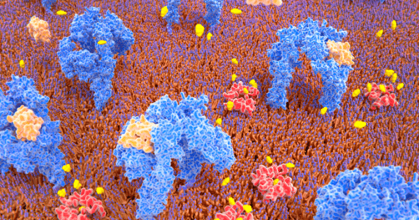 Detailed 3D molecular visualization showing various protein complexes in blue, orange, and red resting atop a dense lipid membrane matrix with small yellow molecules scattered throughout.