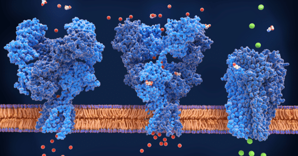3D scientific rendering showing three large blue protein channel structures embedded in a cell membrane, with red and green ion particles passing through them across the bilayer.