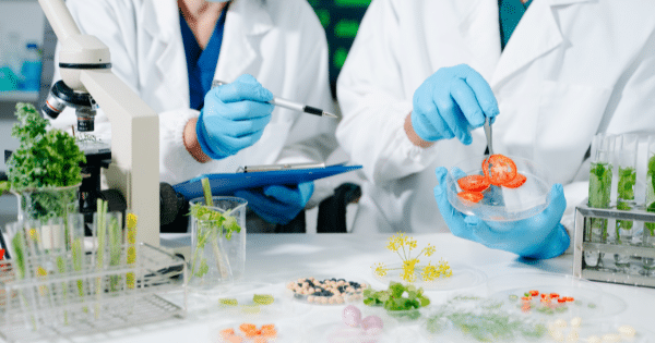 Two lab technicians in white coats and blue gloves analyze food samples at a workstation filled with petri dishes, test tubes, and a microscope.