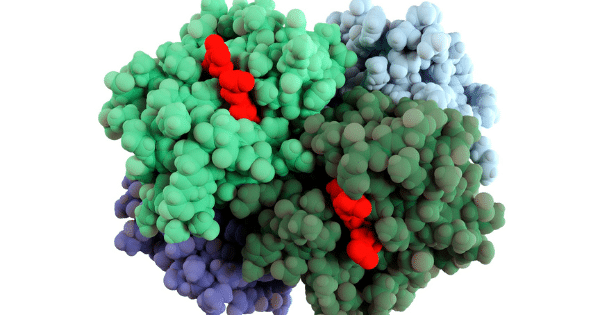 A 3D molecular structure of a complex protein cluster featuring green, blue, purple, and red spherical atom representations tightly packed together against a white background.