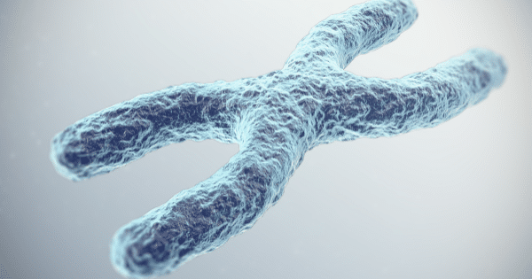 A detailed 3D rendering of a light blue X-shaped chromosome set against a light background.