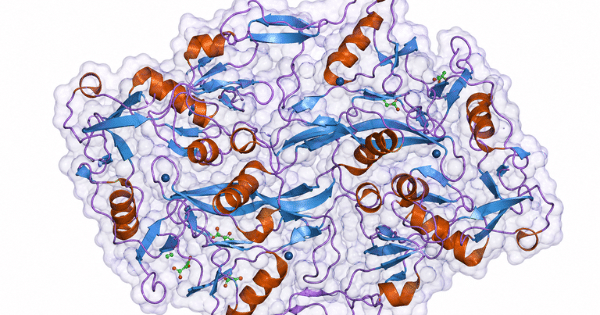 Complex 3D molecular structure with blue ribbon strands and orange helical structures against a white background.