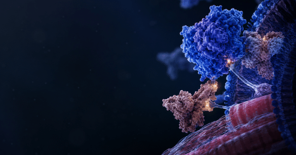 3D molecular illustration showing protein structures binding to a cell membrane surface.