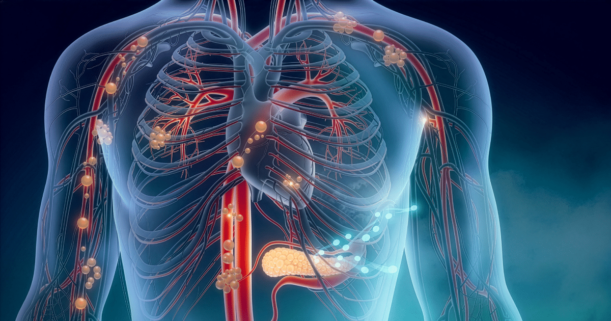 A 3D anatomical render of a human torso highlighting the circulatory and lymphatic systems, with glowing nodes along blood vessels, ribs, and an illuminated pancreas.