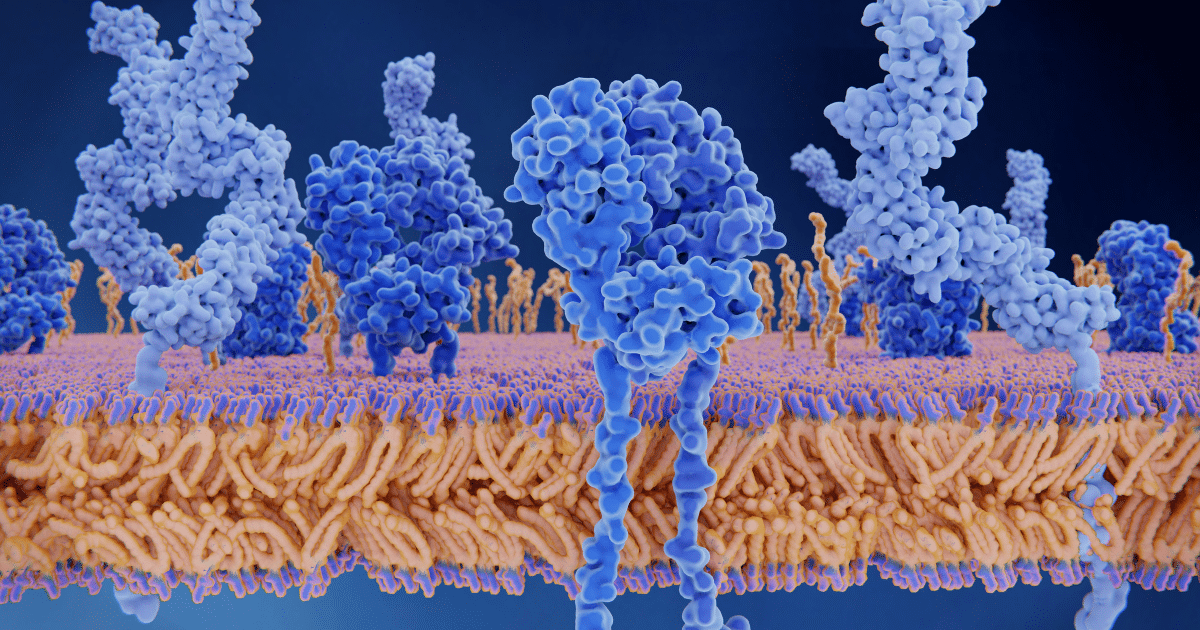 3D scientific rendering of a cell membrane lipid bilayer with various blue protein structures embedded within and extending above the surface.