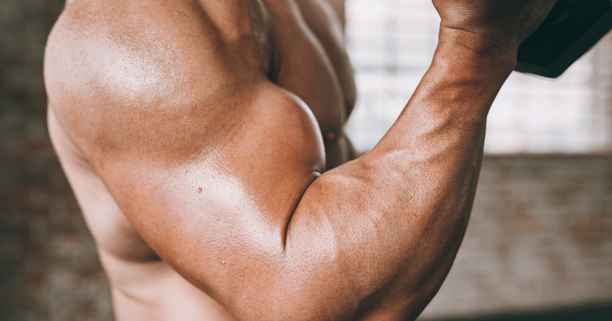 Close-up of a muscular person flexing their bicep against a brick wall background.