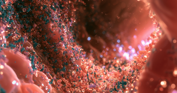 3D biological illustration showing colorful microscopic bacteria and cells inside an organic vessel.