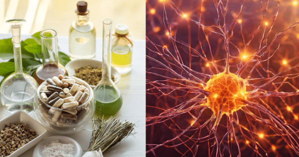 Split image showing herbal supplements and laboratory glassware on the left, paired with an illustration of a glowing neuron network on the right.