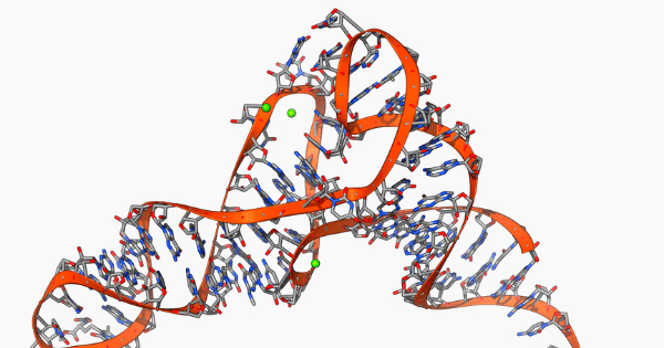 3D molecular model of a complex, folded RNA strand with ribbon backbones and colored atomic bonds.
