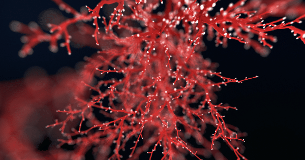 Abstract 3D graphic showing a branching network of red vessel-like structures with small white glowing nodes against a dark background.
