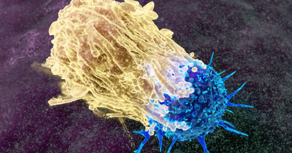 A detailed microscopic 3D render showing a blue, spiky T-cell interacting with a larger, textured golden cell.