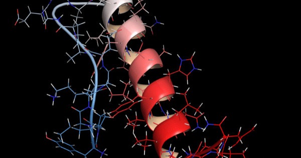 A 3D scientific model depicting a protein alpha-helix structure surrounded by molecular bond sticks.