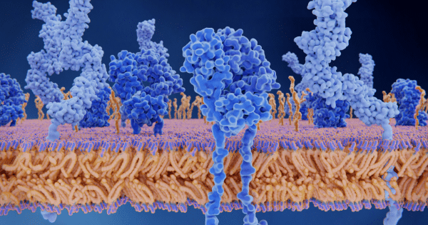 A 3D scientific rendering of a cell membrane lipid bilayer embedded with blue protein structures on a dark blue background.